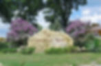Rock w_edited.jpg