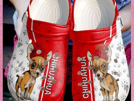 Croc Chihuahua: The Cutest Way to Rock Your Crocs