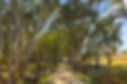 126 Woddlands Rd Wombat (Web)-44.jpg