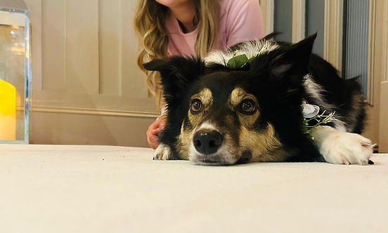 WhatsApp Image 2025-03-26 at 14.43.48_d94bc202.jpg