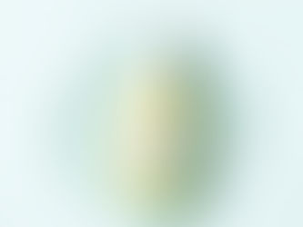 Explore the healing benefits of Panthenol (Provitamin B5). Learn how this essential vitamin supports skin repair and moisture retention in MARGO formulas