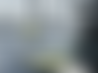 Aktivní forma vitamínu E