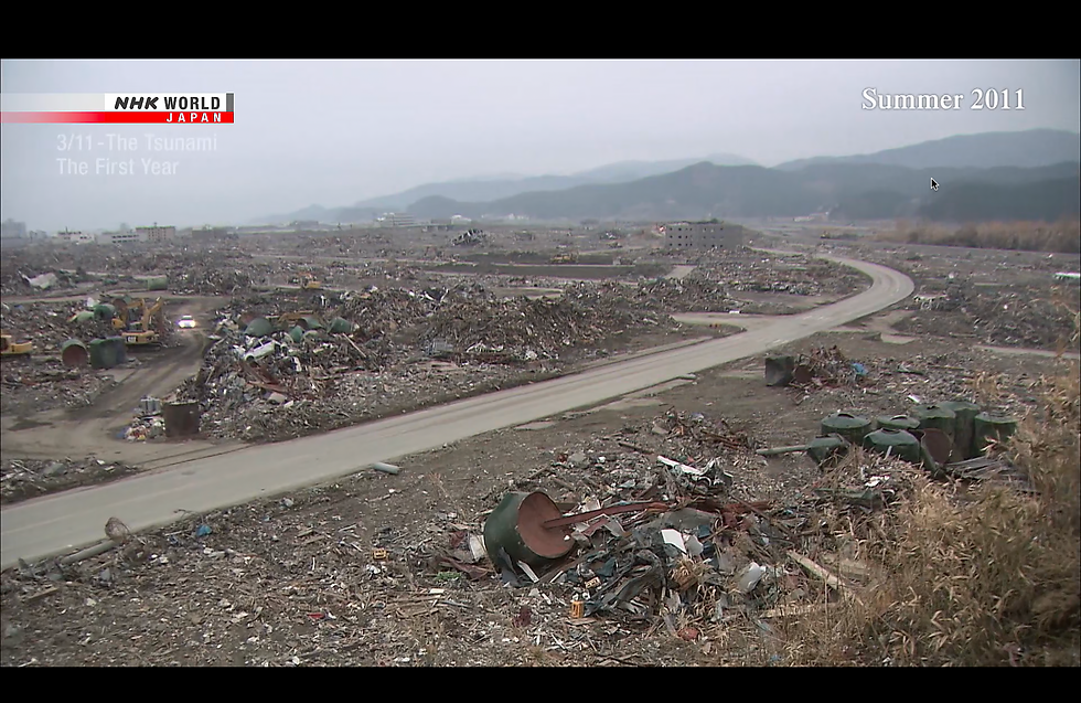 after the disaster