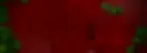 Addams Family Background.webp
