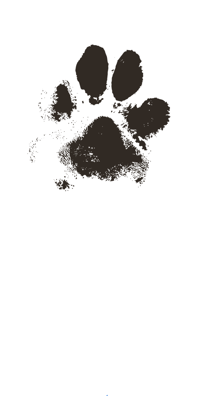 dog-paw-2263833_1280.webp