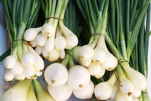 The-Difference-Between-Green-Onions-FT-3-BLOG0622-3e3086b7871d44309f4d64dfe8536e00.jpg