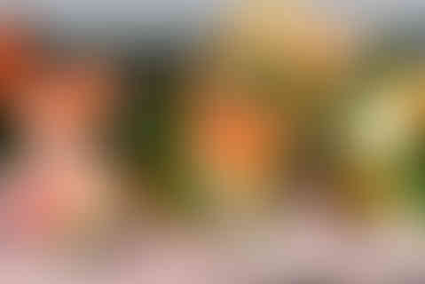 kylenelynn_kjwed-53_websize_6439b48ade357