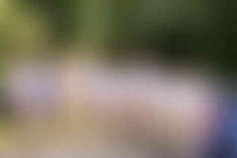 kylenelynn_kjwedcer-161_6439b6910f035