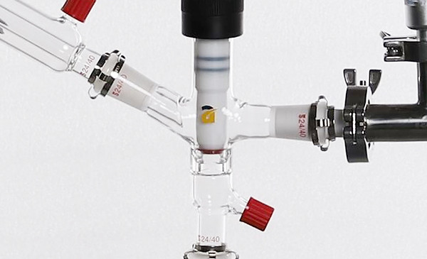 Distillation Cow.jpg