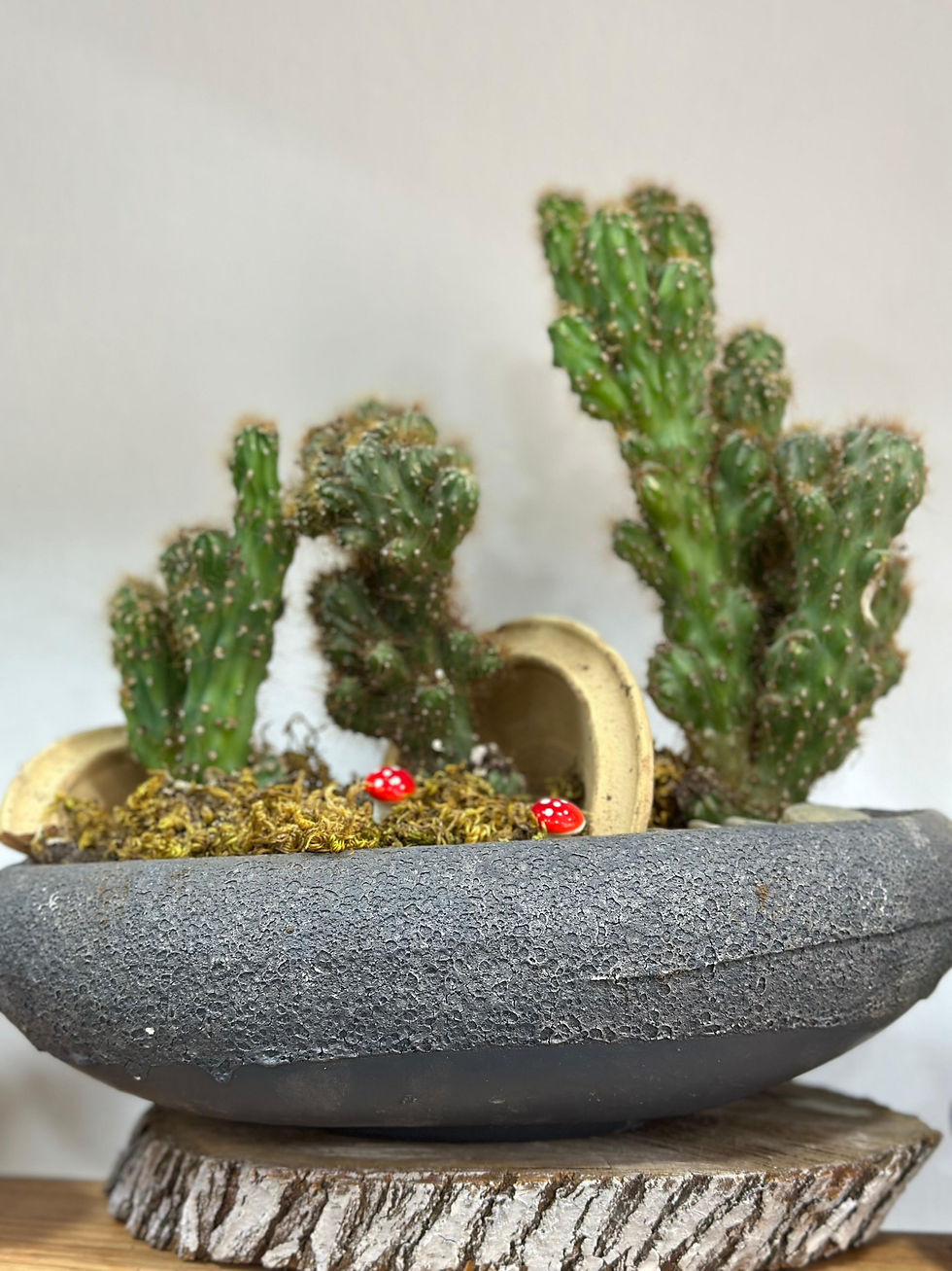 WhatsApp Görsel 2025-08-08 saat 21.16.24_ada6ed8a.jpg