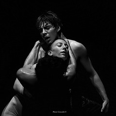BROMANTICA di M. Bittante foto Grimaldi.jpeg