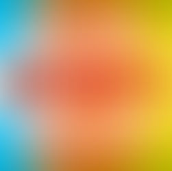 Bridgerton Branches Out