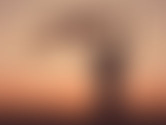 "Living with Purpose, Peace, and Confidence – Starting Now"