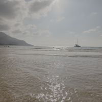 Seychelles coastline natural environment coconut oil origin