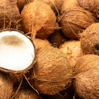 Whole and opened coconuts natural ingredient coconut oil skincare