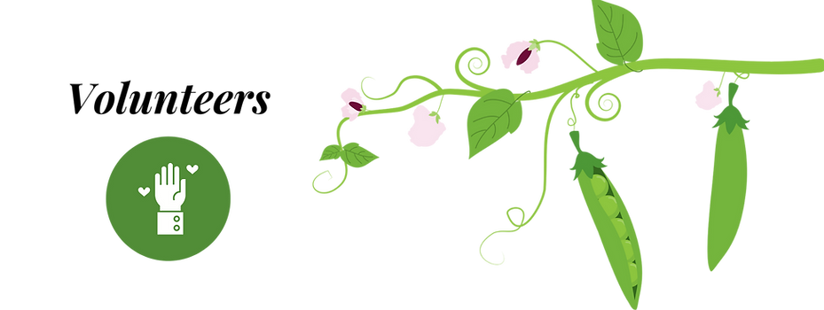 volunteers_orig (1).png