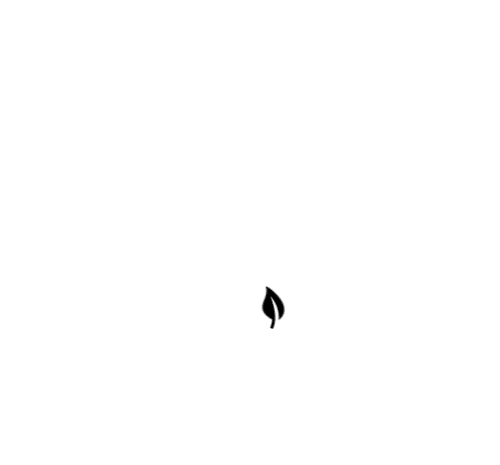 _original_step-4.gif