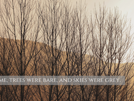 A time for letting Go — A time for celebrating — A time for going Fallow