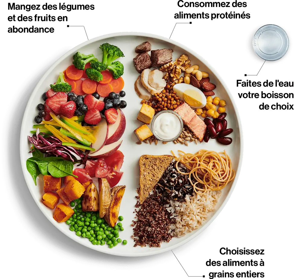 nutriment.webp