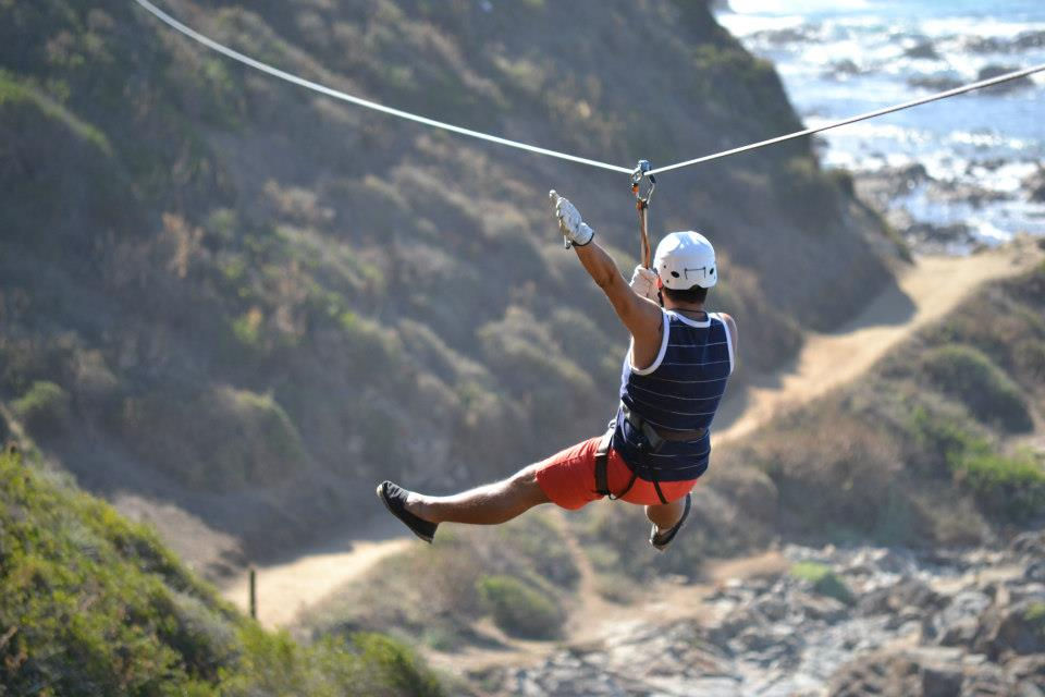 Canopy Algarrobo