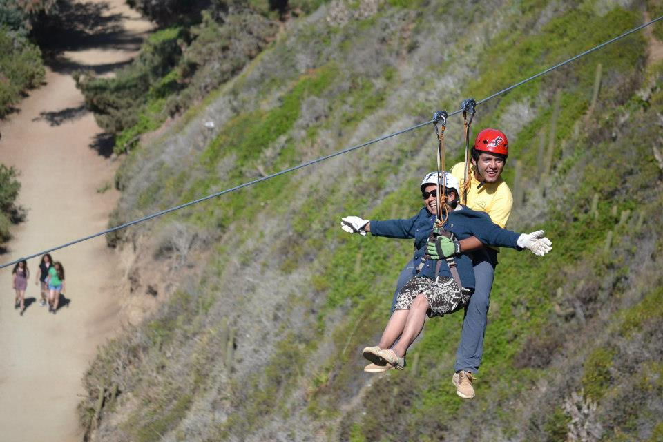 Canopy Algarrobo
