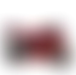 2027 Honda CBR600RR Supersport Bike in Red Racing Colours