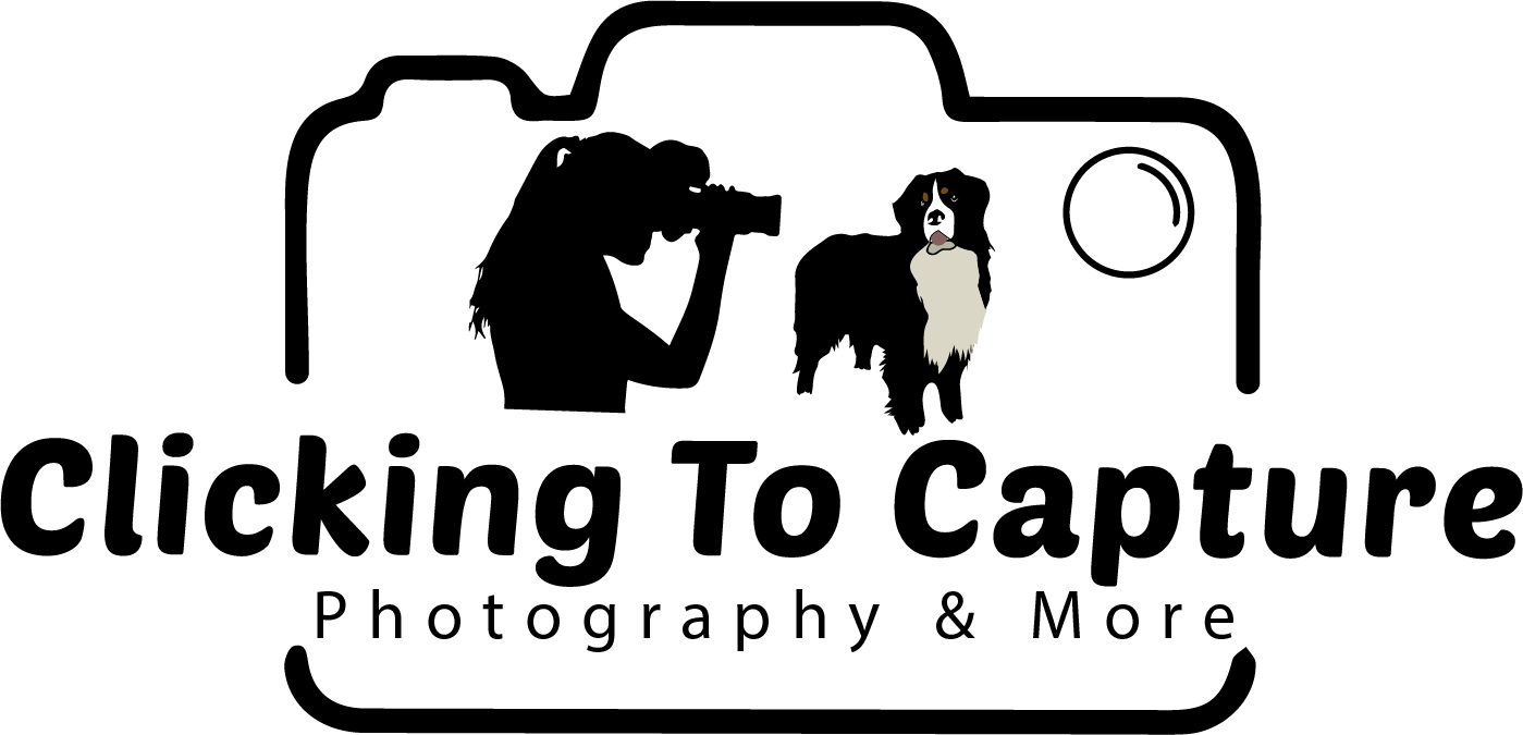 Clicking to Capture Logo File