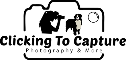 Transparent Background.png