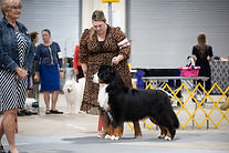 828_6606-Edit-2.jpg