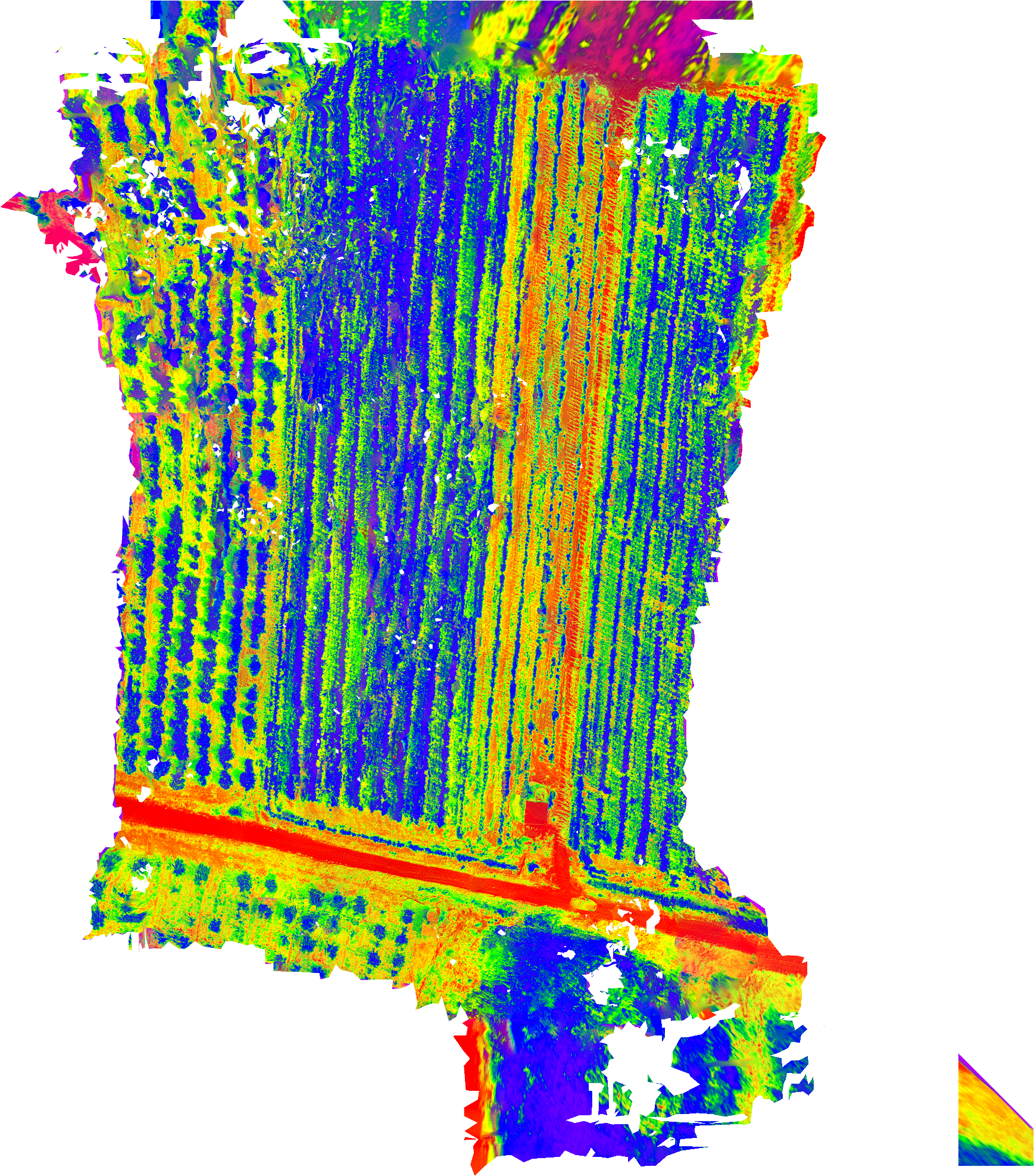 ndvi_small