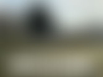 Match Report: 7VEN 12-0 Billingham Lions