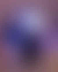 _UGA1178