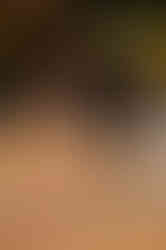 25WOR_13258_KS
