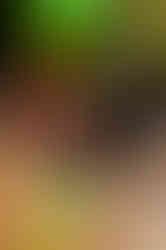 25WOR_13458_KS