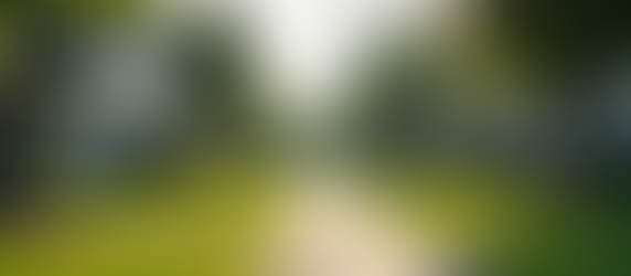 Explore Homes for Sale in the 95624 ZIP Code