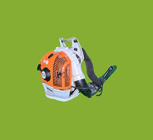 Adobe Express - file (1)_edited.jpg