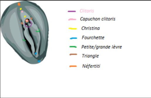 piercing génitaux