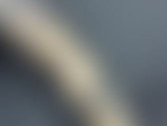 #449 TATOUAGE PARIS AMERICAN BODY ART