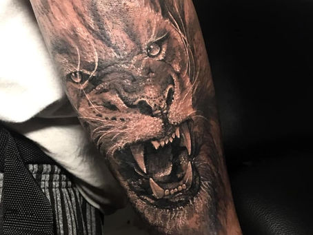 #941 TATOUAGE LION | AMERICAN BODY ART