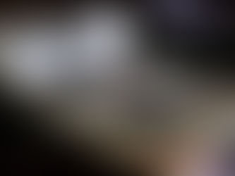 #229 TATOUAGE PARIS AMERICAN BODY ART