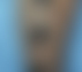 #427 TATOUAGE PARIS AMERICAN BODY ART