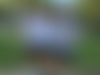 PERSONALIDADE DO MÊS - Junho 2024: LUÍS BRITO