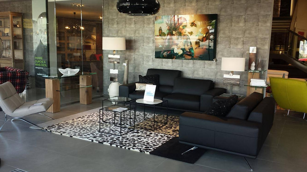 ROCHE BOBOIS ORLEANS