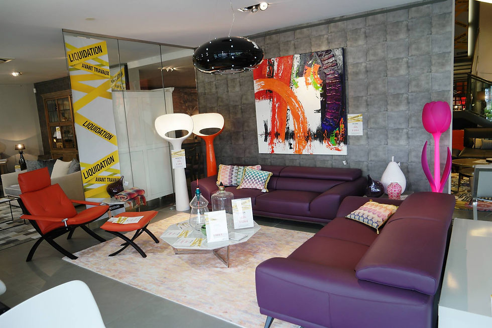 ROCHE BOBOIS ORLEANS