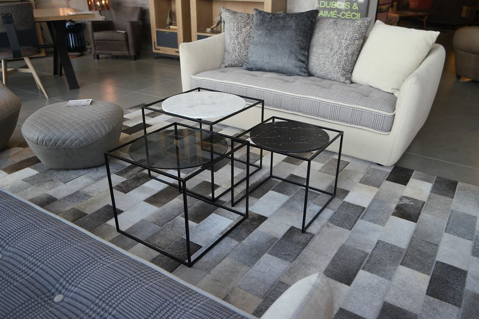 ROCHE BOBOIS ORLEANS
