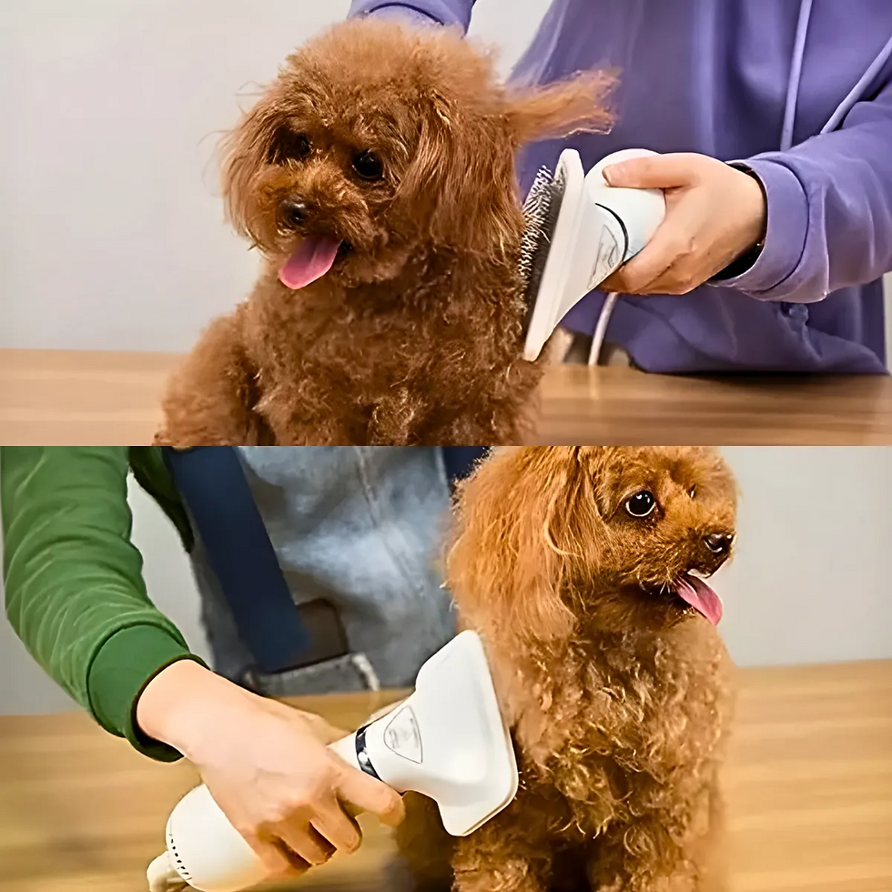Miniatura: Secador Pet 3 em 1 AirGroom