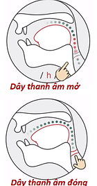 day thanh âm1.png