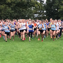 The senior women at Somerhill