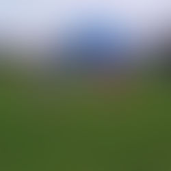 Kent XC Champs – Juniors