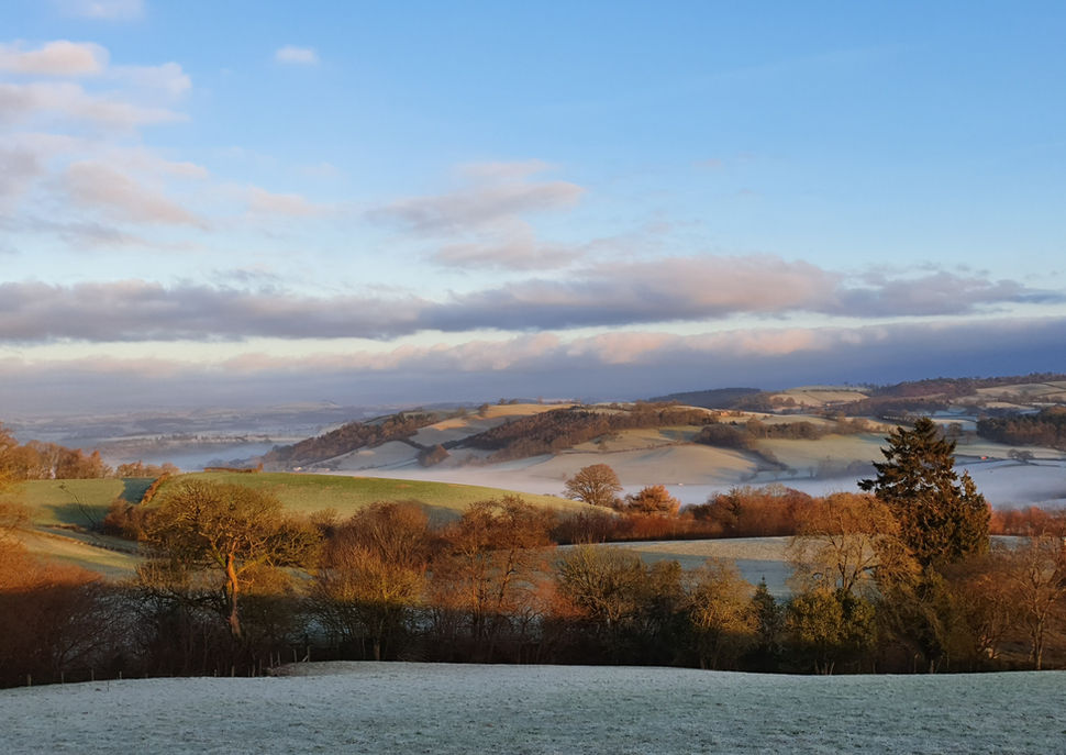 Frosty view from hilltop at Kettle Tree Cabin.jpg